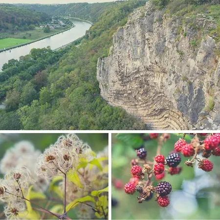 Laissez-vous Enchanter Par La Vallee De La Meuse Hastiere-par-dela
