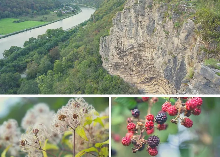 Laissez-vous Enchanter Par La Vallee De La Meuse Hastière-par-delà